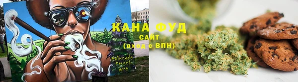 индика Навашино