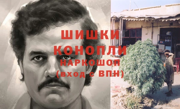 ПСИЛОЦИБИНОВЫЕ ГРИБЫ Нея