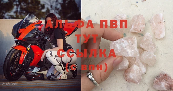 тгк Володарск