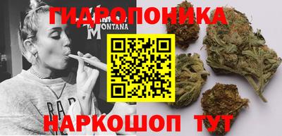 прущие грибы Изобильный
